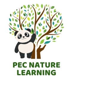 Nature Learning